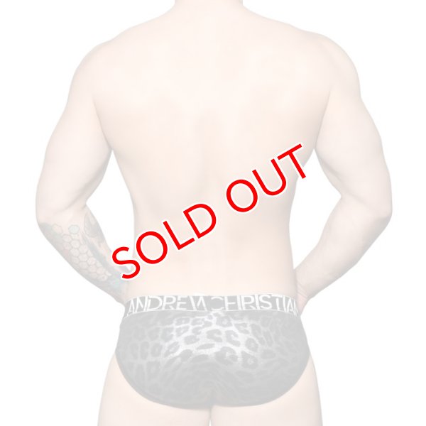 画像4: Andrew Christian【アンドリュークリスチャン】 Metallic Leopard Almost Naked ブリーフ (4)