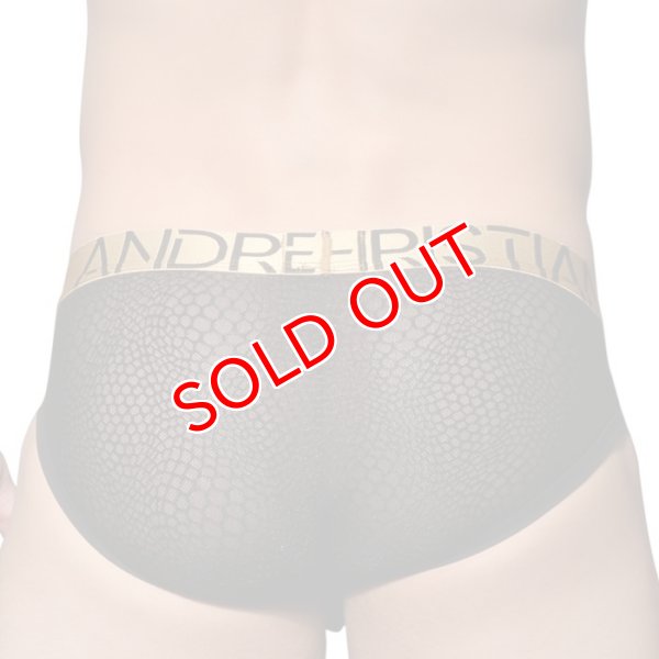 画像5: Andrew Christian【アンドリュークリスチャン】 Bubble Mesh Brief  Almost Naked メッシュブリーフ (5)