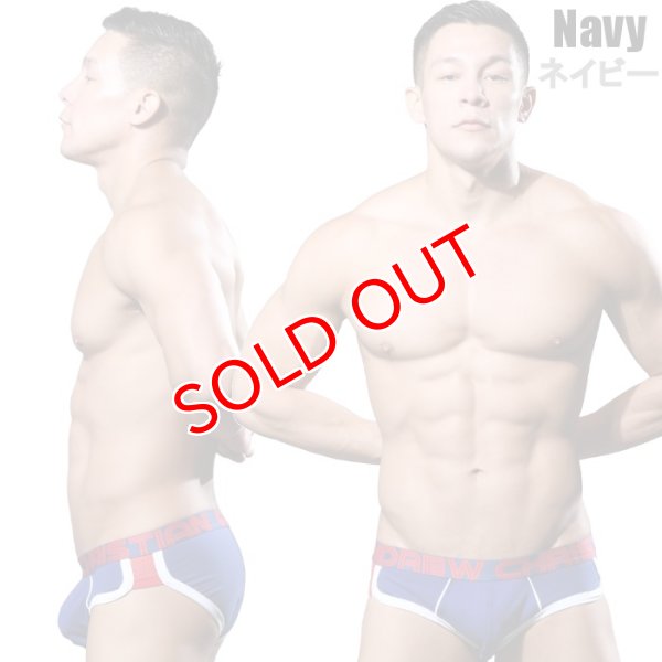 画像2: Andrew Christian【アンドリュークリスチャン】 SHOW-IT Retro Popメッシュ ブリーフ (2)