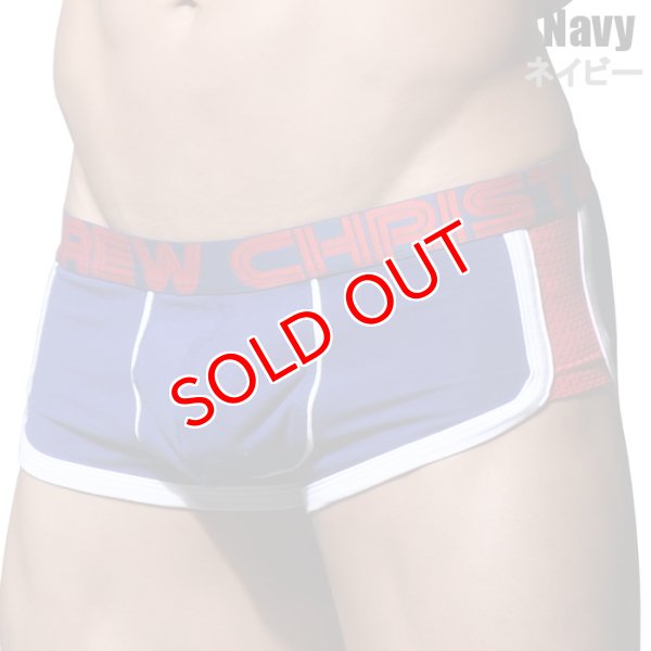 画像6: Andrew Christian【アンドリュークリスチャン】SHOW-IT Retro Popメッシュ ボクサー (6)