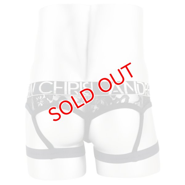 画像5: Andrew Christian【アンドリュークリスチャン】  Unleashed ガーター レースTバック Almost Naked (5)