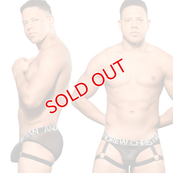 画像3: Andrew Christian【アンドリュークリスチャン】 UNLEASHED ガーター w/ ALMOST NAKED メッシュブリーフ (3)