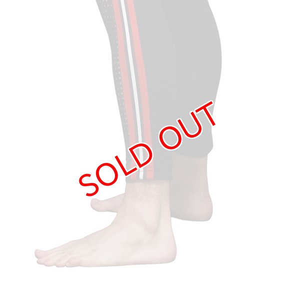 画像4: Andrew Christian【アンドリュークリスチャン】Competitionメッシュ レギンス (4)