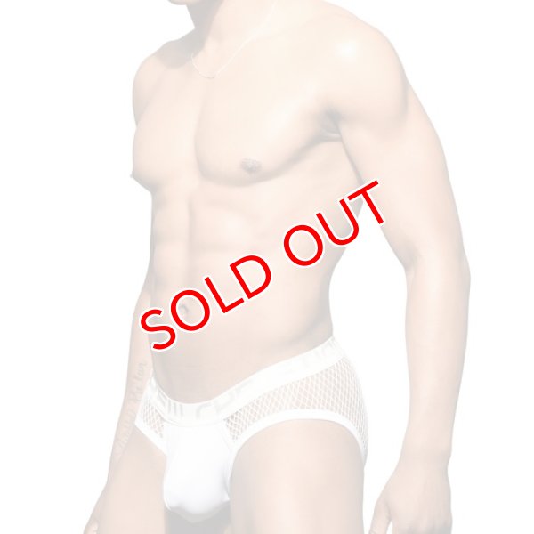 画像3: Andrew Christian【アンドリュークリスチャン】  Fishnet メッシュ・ブリーフ ローライズ 男性下着 メンズインナー (3)