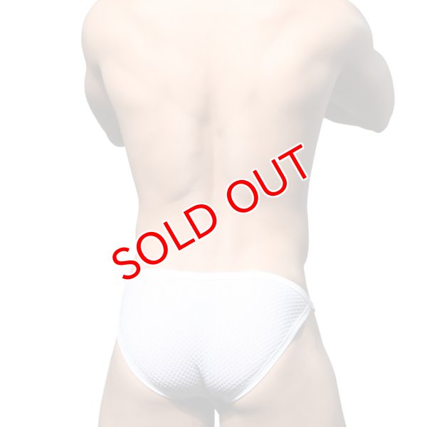 画像6: Andrew Christian【アンドリュークリスチャン】 ブリーフ メンズブリーフ メンズローライズブリーフ ブリーフパンツ メンズ下着 メンズビキニ アンクリ PLATINUM  バクル ビキニ ブリーフ ALMOST NAKED (6)