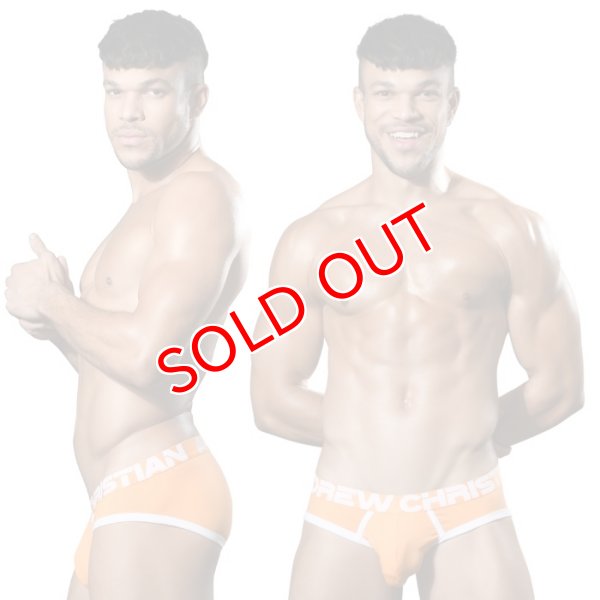 画像2: Andrew Christian【アンドリュークリスチャン】 ブリーフ メンズビキニ アンクリ SHOW-IT ブリーフ (2)