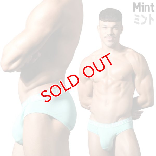 画像6: Andrew Christian【アンドリュークリスチャン】ブリーフ メンズビキニ アンクリ TROPHY BOY Bamboブリーフ (6)