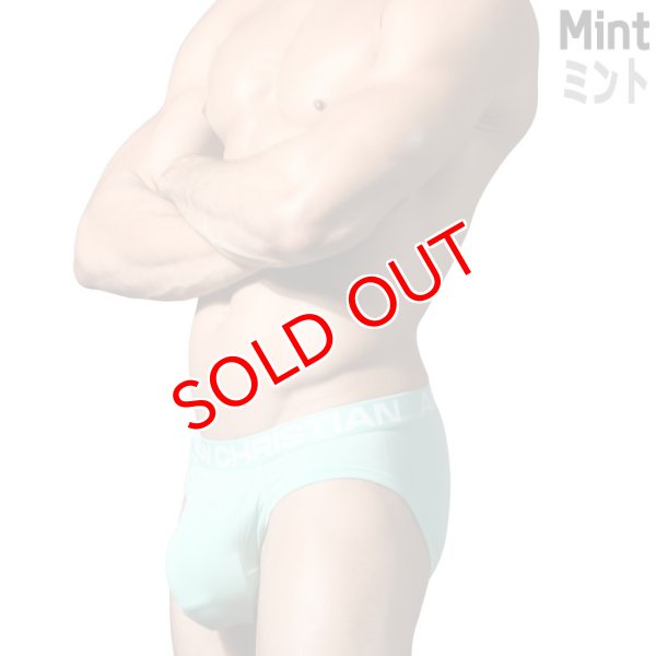 画像7: Andrew Christian【アンドリュークリスチャン】ブリーフ メンズビキニ アンクリ TROPHY BOY Bamboブリーフ (7)