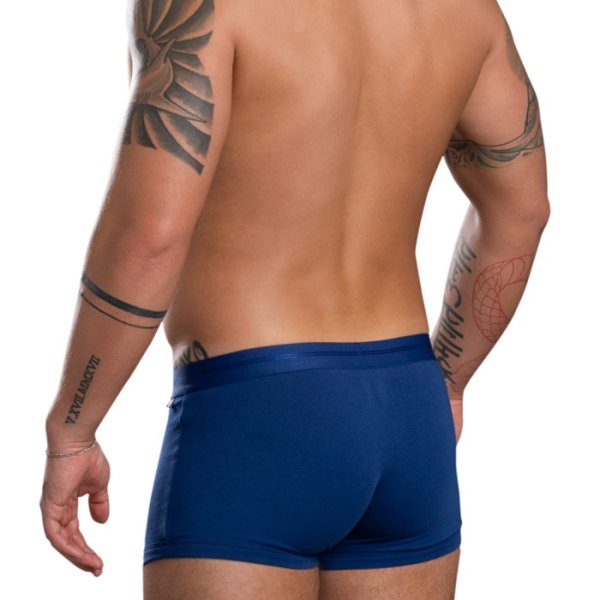 画像4: Andrew Christian【アンドリュークリスチャン】ボクサーパンツ メンズ下着 ブランド アンダーウェア アンクリ Hamptons Capsule ボクサー (4)