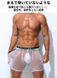 画像3: AeeeYeee ボクサーパンツ Oバック メンズ ボクサー 極薄シースルー生地 エロパン セクシー ストレッチ 透け感 男性下着 (3)