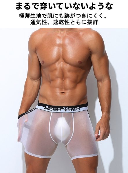 画像3: AeeeYeee ボクサーパンツ Oバック メンズ ボクサー 極薄シースルー生地 エロパン セクシー ストレッチ 透け感 男性下着 (3)