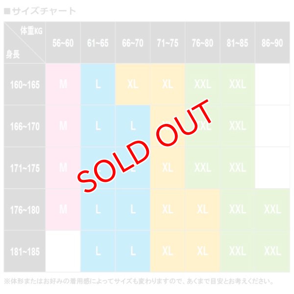 画像13: 男性シングレット メンズ一体型ボディスーツ Oバック メッシュ・シースルー生地 レスリングウェア風 セクシー 彼氏プレゼント 旦那プレゼント 男性下着 (13)