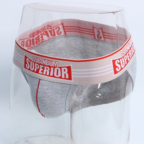画像19: ビキニブリーフ メンズビキニ ブリーフ スポーツブリーフ ローライズ 男性下着 AsianBum 彼氏プレゼント (19)
