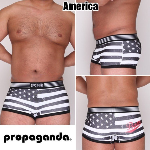 画像2: 【プロパガンダ】Flagプリントマイクロファイバーローライズボクサー (2)