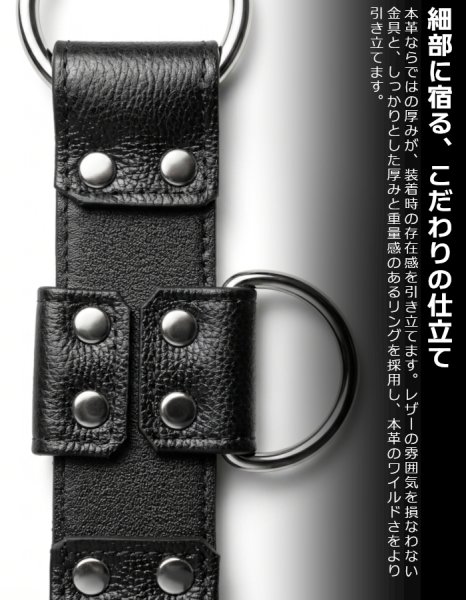 画像7: 本革 チェストハーネス スムースレザー ナッパ調 メンズ レザー ハーネス 牛革 SMBD パンク ロック コスプレ フェティッシュ ステージ衣装 (7)