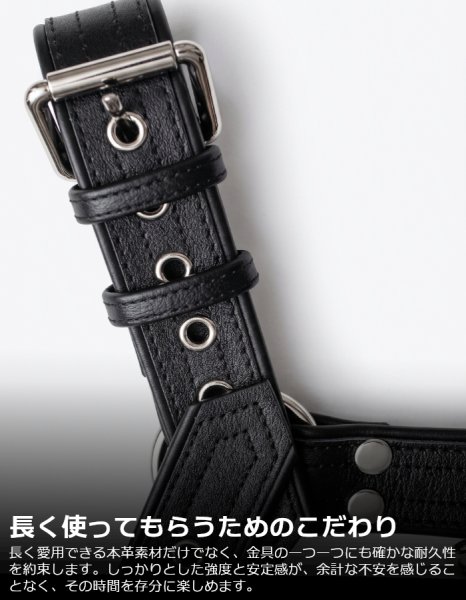 画像4: 厚手 本革 チェストハーネス スムースレザー ナッパ調 メンズ レザー ハーネス 牛革 SMBD パンク ロック コスプレ フェティッシュ ステージ衣装 (4)