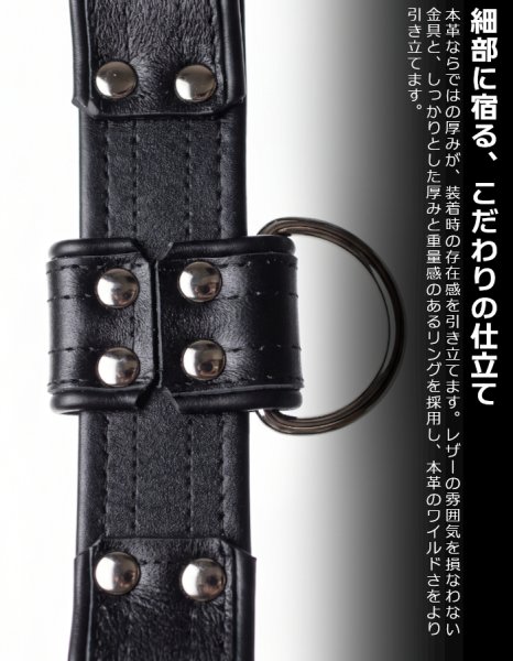 画像6: 厚手 本革 チェストハーネス スムースレザー ナッパ調 メンズ レザー ハーネス 牛革 SMBD パンク ロック コスプレ フェティッシュ ステージ衣装 (6)