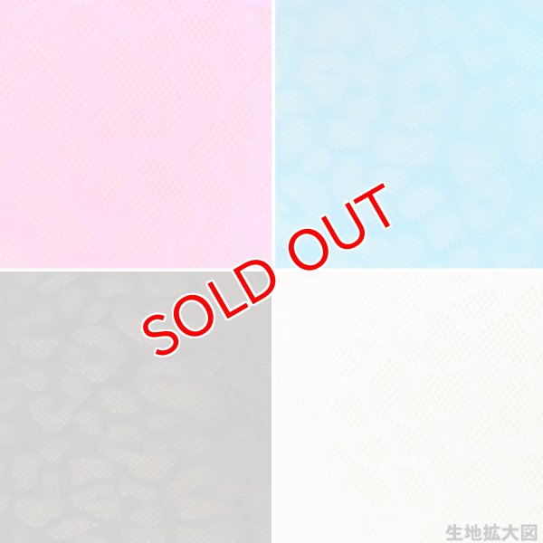 画像17: 【コックコン】アニマル柄レース生地 ローライズボクサーパンツ (17)