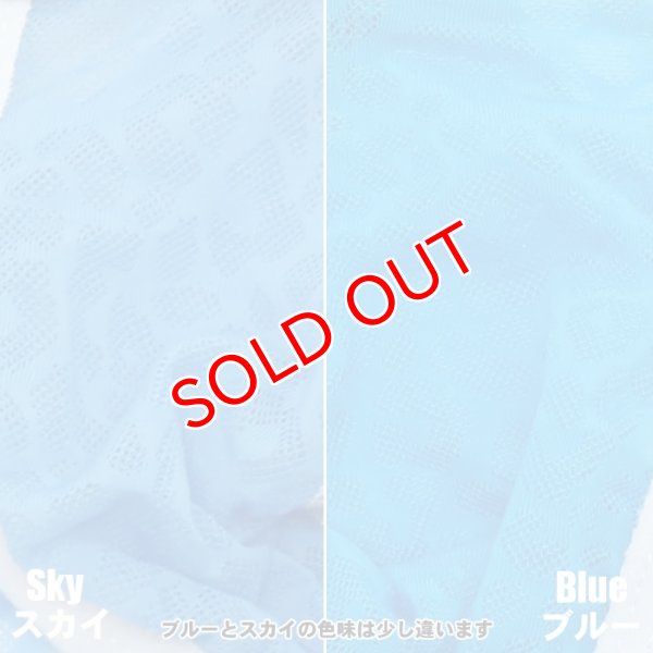 画像11: 【コックコン】アニマル柄レース生地 メンズブリーフ (11)