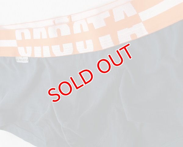 画像8: 【クルータ】ローライズボクサーパンツThrough (8)