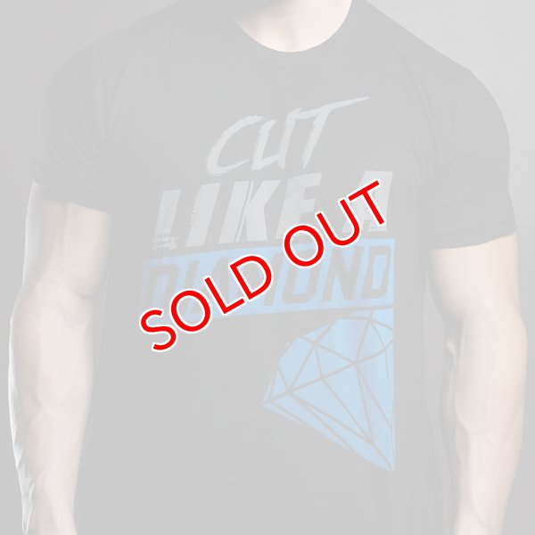 画像4: 【セイドウェア】ジムウェア Tシャツ Cut Like a Diamond (4)