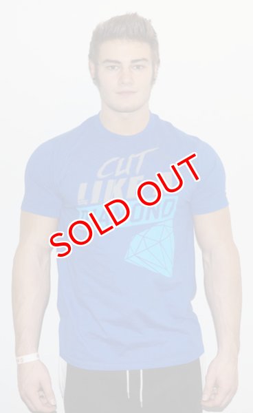 画像6: 【セイドウェア】ジムウェア Tシャツ Cut Like a Diamond (6)