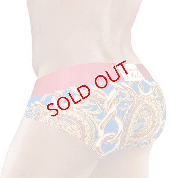 画像4: Danny Miami【ダニーマイアミ】 Lord Sky ローライズ ビキニブリーフ (4)