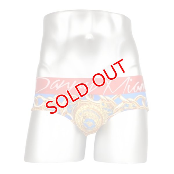 画像5: Danny Miami【ダニーマイアミ】 Lord Sky ローライズ ビキニブリーフ (5)