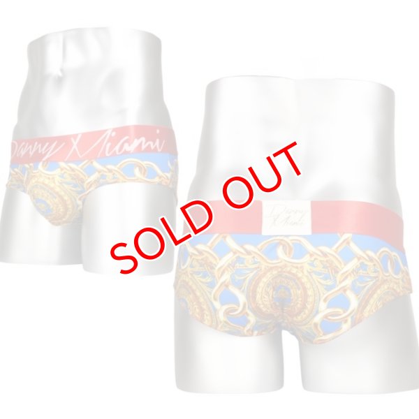 画像6: Danny Miami【ダニーマイアミ】 Lord Sky ローライズ ビキニブリーフ (6)
