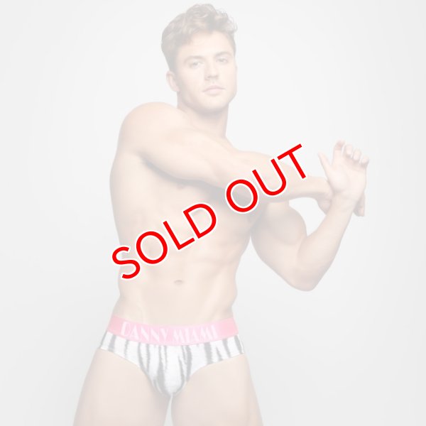 画像2: Danny Miami【ダニーマイアミ】 BENGAL ローライズ ビキニブリーフ (2)