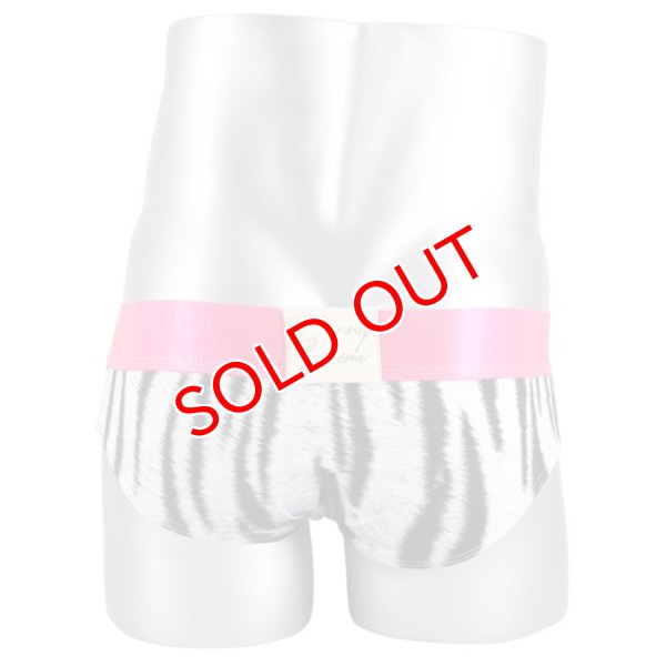 画像6: Danny Miami【ダニーマイアミ】 BENGAL ローライズ ビキニブリーフ (6)