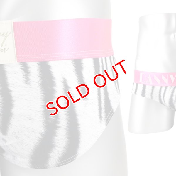 画像7: Danny Miami【ダニーマイアミ】 BENGAL ローライズ ビキニブリーフ (7)