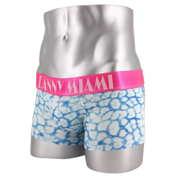 画像5: Danny Miami【ダニーマイアミ】 DREAM ローライズ ボクサーパンツ (5)