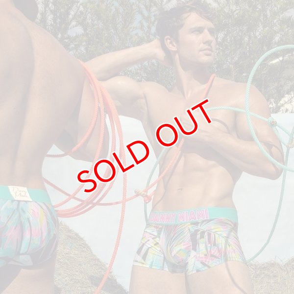 画像3: Danny Miami【ダニーマイアミ】 TWIST ローライズ ボクサーパンツ (3)