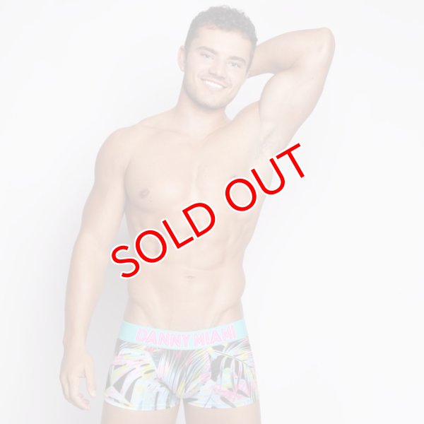 画像4: Danny Miami【ダニーマイアミ】 TWIST ローライズ ボクサーパンツ (4)