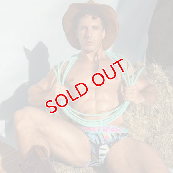 画像2: Danny Miami【ダニーマイアミ】 TWIST ローライズ ビキニブリーフ (2)