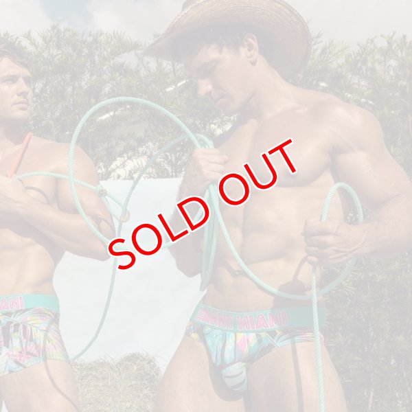 画像3: Danny Miami【ダニーマイアミ】 TWIST ローライズ ビキニブリーフ (3)