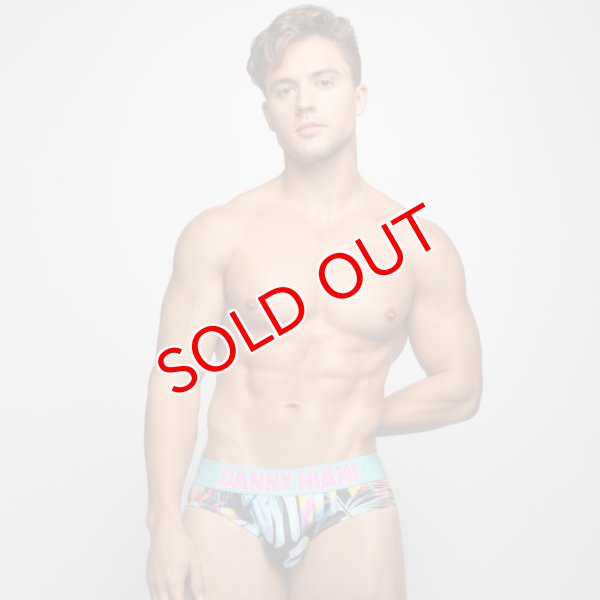 画像4: Danny Miami【ダニーマイアミ】 TWIST ローライズ ビキニブリーフ (4)