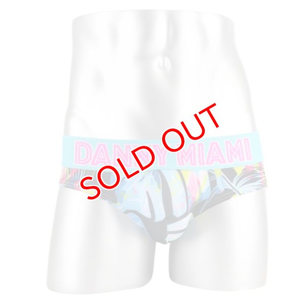 画像6: Danny Miami【ダニーマイアミ】 TWIST ローライズ ビキニブリーフ (6)