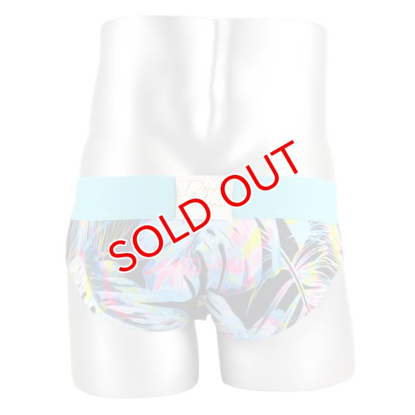 画像7: Danny Miami【ダニーマイアミ】 TWIST ローライズ ビキニブリーフ (7)