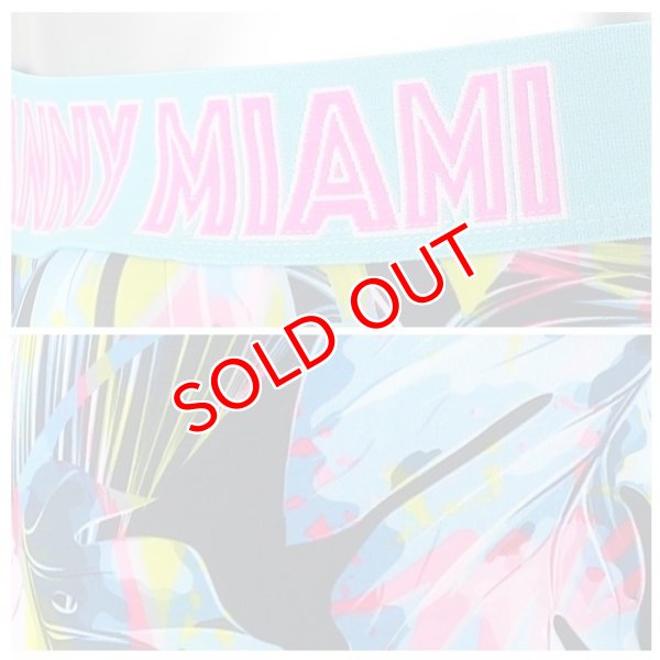 画像8: Danny Miami【ダニーマイアミ】 TWIST ローライズ ビキニブリーフ (8)