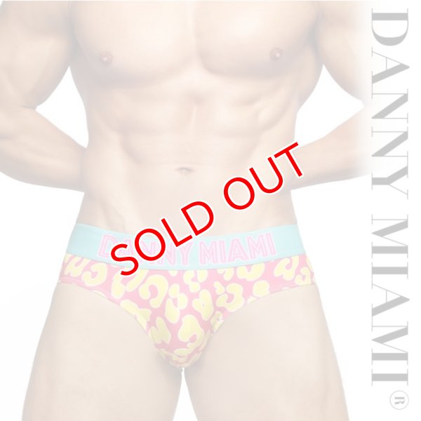 画像1: Danny Miami【ダニーマイアミ】 NATHAN'S ローライズ ビキニブリーフ (1)