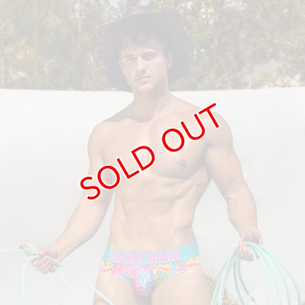画像2: Danny Miami【ダニーマイアミ】 MIAMI KING ローライズ ビキニブリーフ (2)