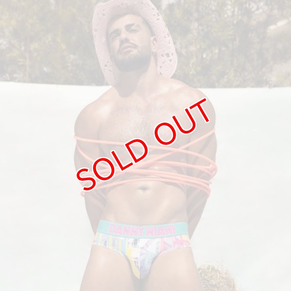 画像2: Danny Miami【ダニーマイアミ】 BENGAL ローライズ ビキニブリーフ (2)