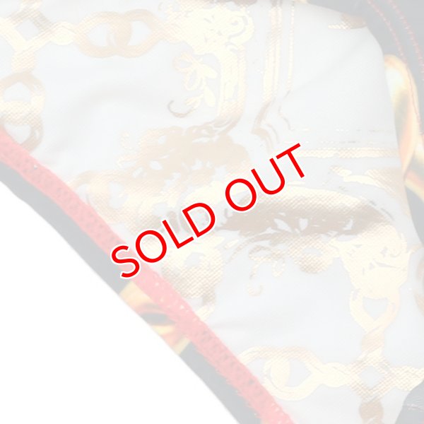 画像9: 【ダニーマイアミ】男性水着 ブーメラン LINKS Dkini (9)