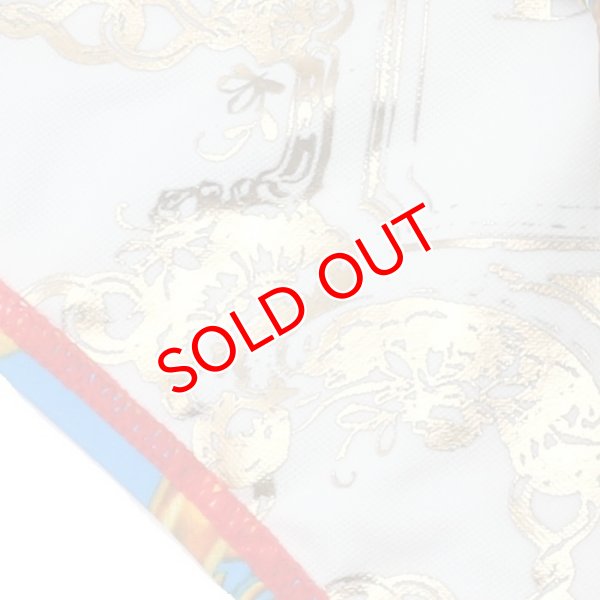 画像10: 【ダニーマイアミ】男性水着 ブーメラン LORD SKY Dkini (10)