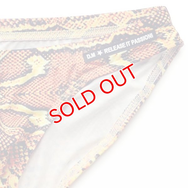 画像14: DM【ディーエム】アニマル柄 メンズビキニ ローライズ ビキニブリーフ (14)