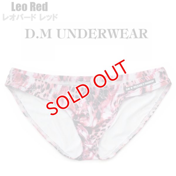 画像2: DM【ディーエム】アニマル柄 メンズビキニ ローライズ ビキニブリーフ (2)
