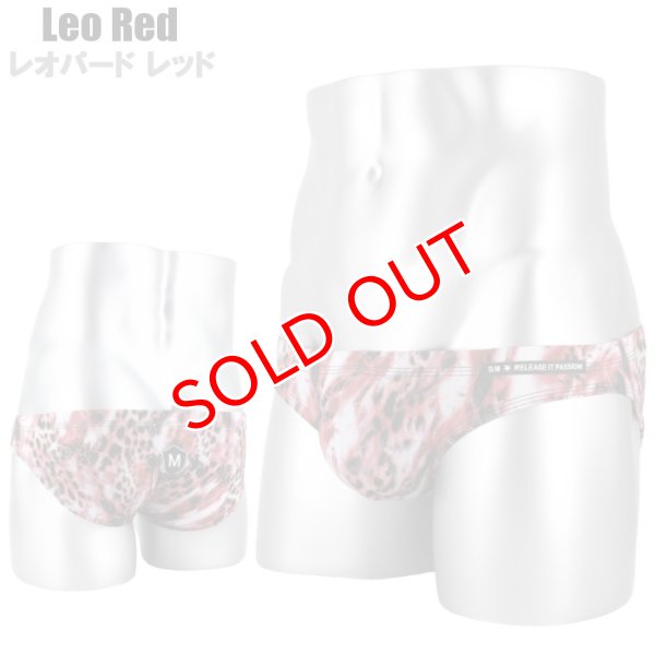 画像3: DM【ディーエム】アニマル柄 メンズビキニ ローライズ ビキニブリーフ (3)