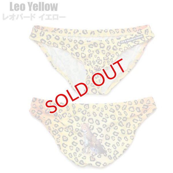 画像7: DM【ディーエム】アニマル柄 メンズビキニ ローライズ ビキニブリーフ (7)